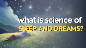 The Science of Sleep: Understanding Stages and Dreams